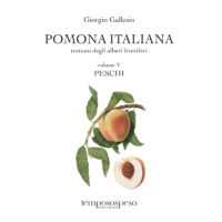 Pomona Italiana - I PESCHI